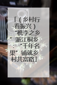 （乡村行·看振兴）“槜李之乡”浙江桐乡：“千年名果”铺就乡村共富路
